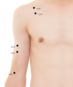 Akupunkturne točke pluća (Lung 1-5)