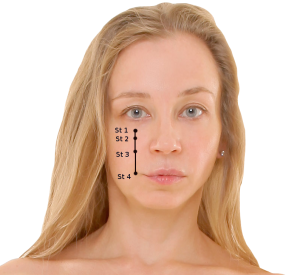 Akupunkturne točke meridijana Želuca (Stomach 1 - 4)