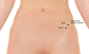 akupunkturne točke meridijana žučnog mjehura (GB 27 - 28)
