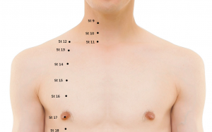 akupunkturne točke meridijana želuca (st 9 - 18)